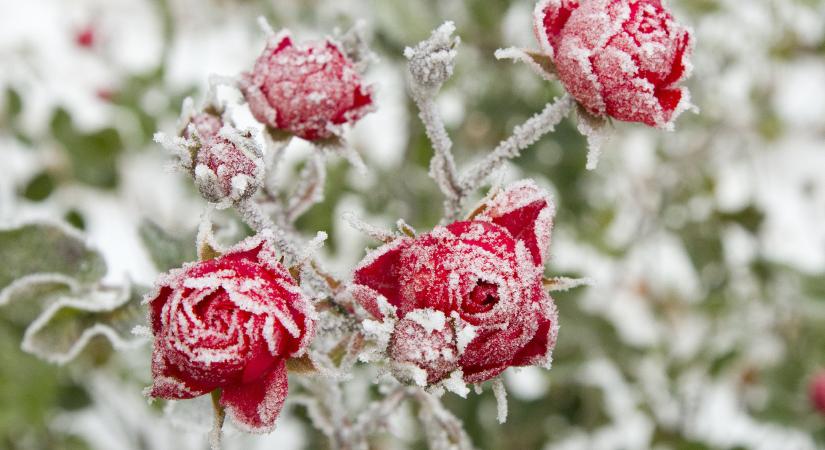 Időjárás: hódara, hózápor és egyre hidegebb hajnalok jönnek