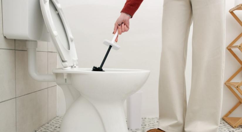 Milyen gyakran kell lecserélni a WC-kefét?