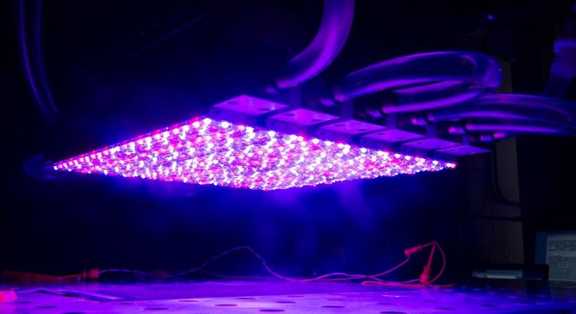 Amit most a fénnyel tettek, az átírhatja a jövő technológiáját