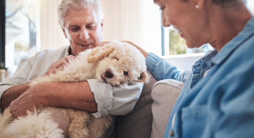 Igaz, hogy a kutyatartás javítja az egészséget és meghosszabbítja az életet?