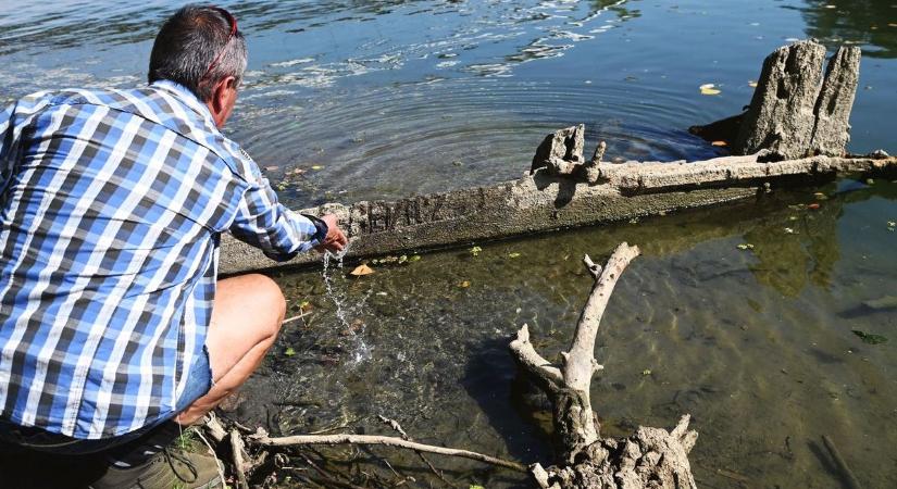 Megdöbbentek, milyen állat mászott ki a Szinvából - fotó, videó