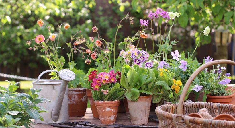 Ma Szegeden süt majd a nap, vagy maradnak a felhők?