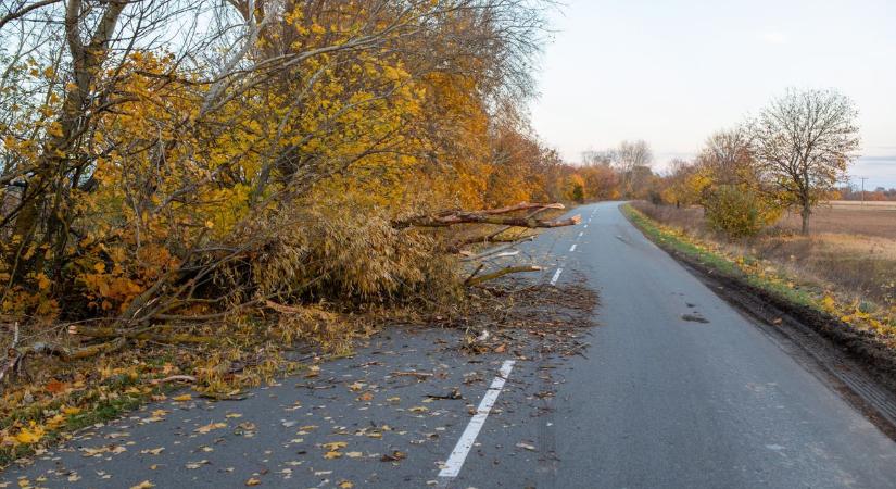Megváltozik az időjárás: erre érdemes felkészülni