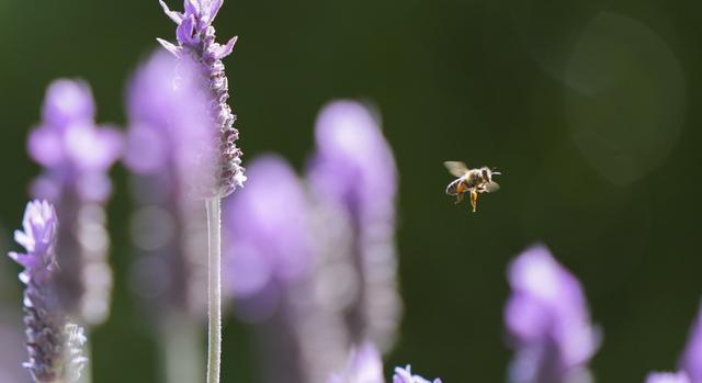Miért visel meg ennyire a tavaszi hőingadozás? A tested lassabban alkalmazkodik, mint hinnéd