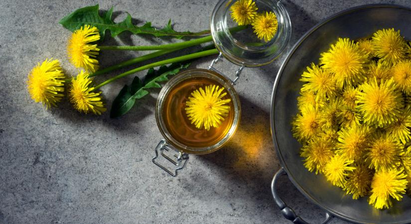 Mielőtt beindítod a fűnyírót, állj meg egy percre: csodaszer lapul a fűben, ami még a kávét is kiváltja