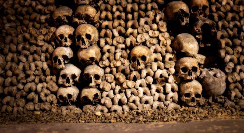 Hatmillió emberi csont – kiállítás Párizsban