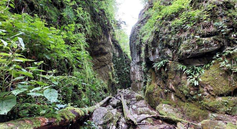 Túra a Bihar-hegységben: Szegyesd-völgy és Schmidl-kanyon