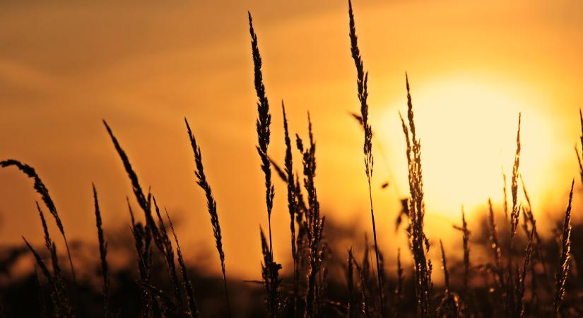 Nyugaton naposabb, keleten csapadékosabb idő várható