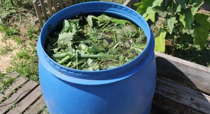 A drága bolti rovarirtók helyett ezt használd: Ez a legjobb vegyszermentes megoldás a kártevők ellen