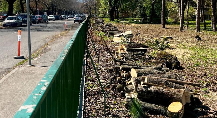 Elkezdődött a kórházi parkolók bővítésének tereprendezése