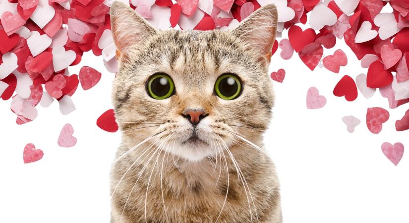 A pszichológia szerint ezt jelenti, ha mindenkivel kedves akarsz lenni