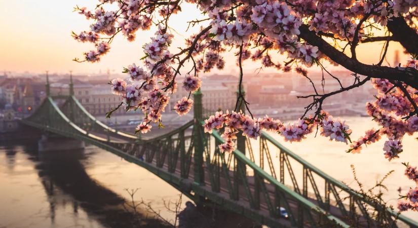 Tavaszi szünet másképp – Csodás rejtett helyszínek Budapest szívében távol a tömegtől