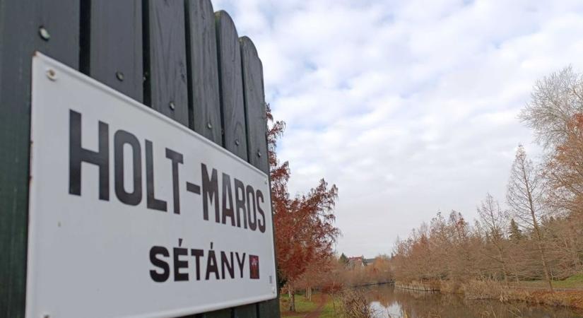 Gondok a Holt-Maros sétányon – nincs elég kuka, és már a kullancsok is megjelentek