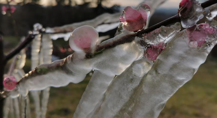 Ma sem úsztuk meg fagy nélkül