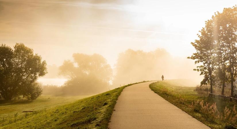 Több mint 300 millió forintból fejlesztik az utakat Tótkomlóson