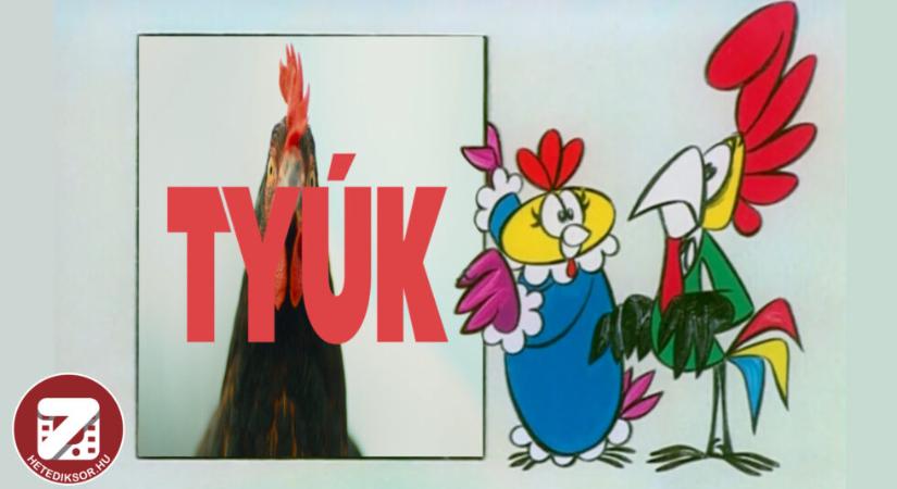 A Tyúk találkozik Kukori és Kotkodával – videó
