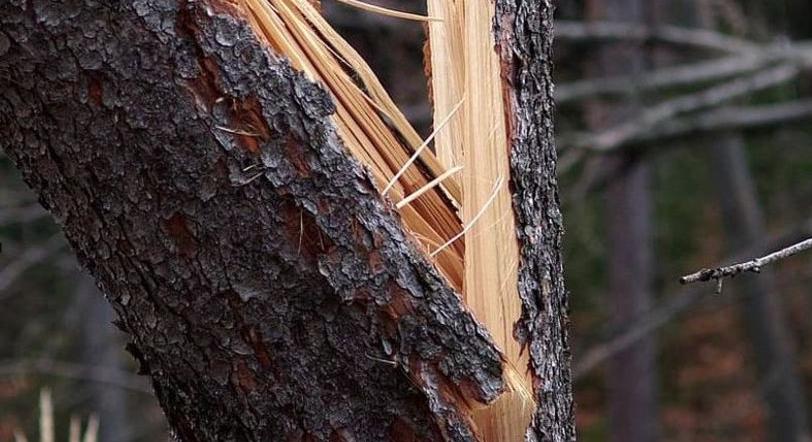Károkat okozott az erős szél Debrecenben