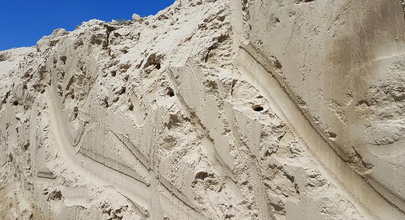 Fecskék az építési területen! Mi a teendő?