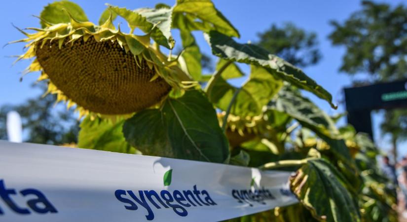 Stresszkezelés felsőfokon: hogyan védekezzünk az aszály ellen?