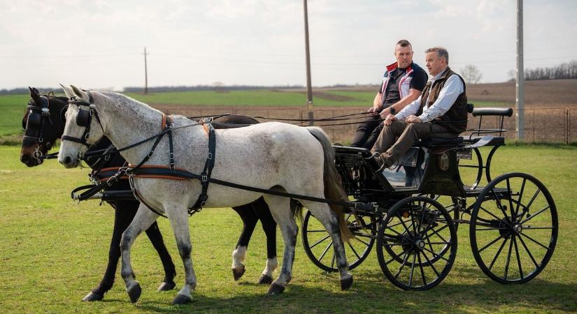 Horváth István ismét részese lehetett a lovas életnek