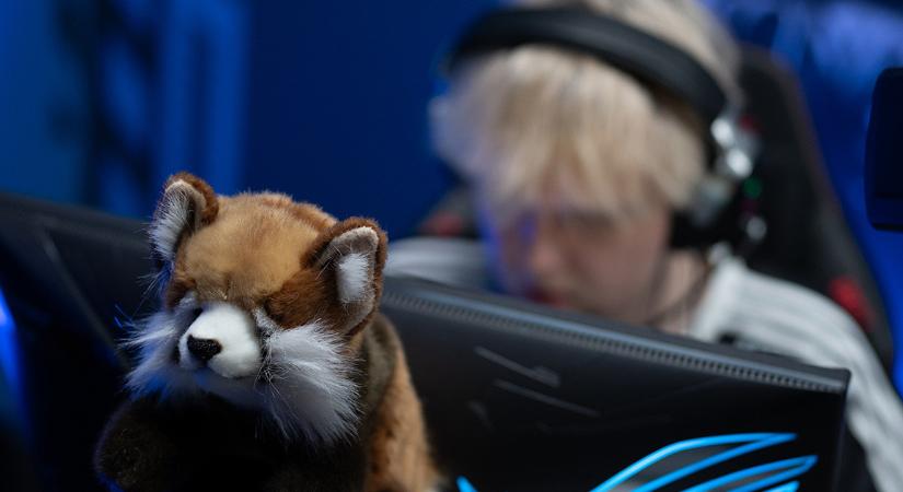 Magyar siker forr a PGL Bukaresten, szurkoljunk együtt coolionak!