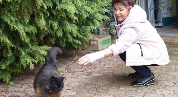 Rátámadt a macska a sztárszínészre, vérmérgezéssel került kórházba