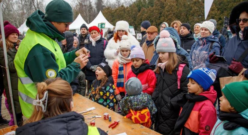 Több ezer megmentett állat, rekordok és közösségépítés – ilyen volt 2025 a vármegye madarászainál