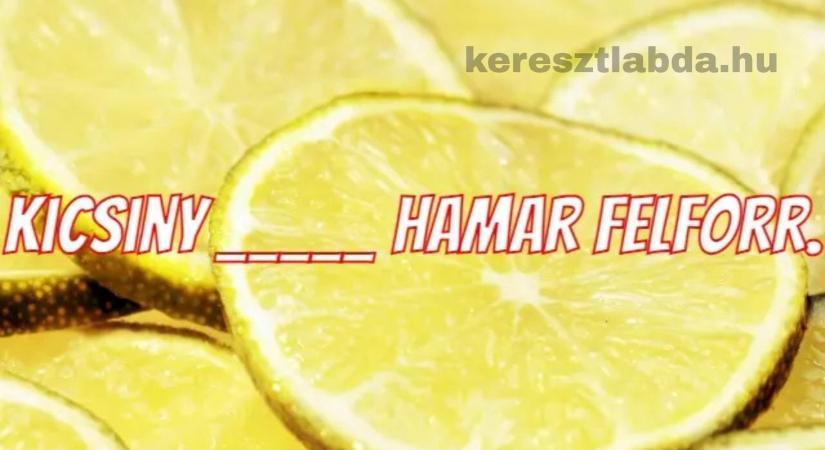 Napi közmondás feladat: Ezt a hiányos mondatot a legtöbben rosszul egészítik ki