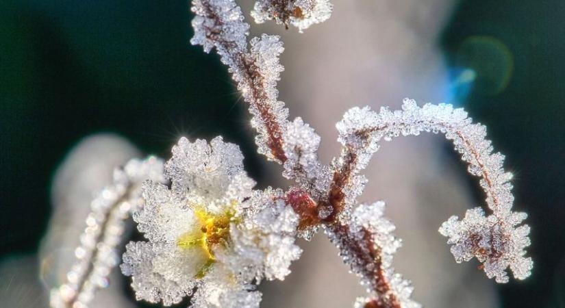 Kemény fagyra ébredtek Borsodban