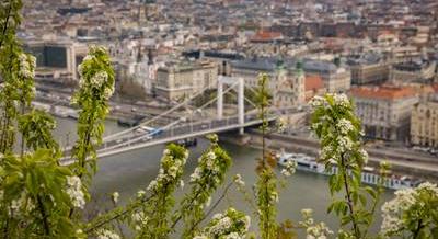 Hétvégi programajánló: Budapest FotóFesztivál, Tavaszi Margó Irodalmi Fesztivál, Pizza Social Club