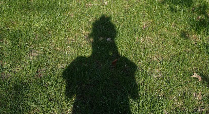 Ragadozó támadta meg a híres magyar színésznőt