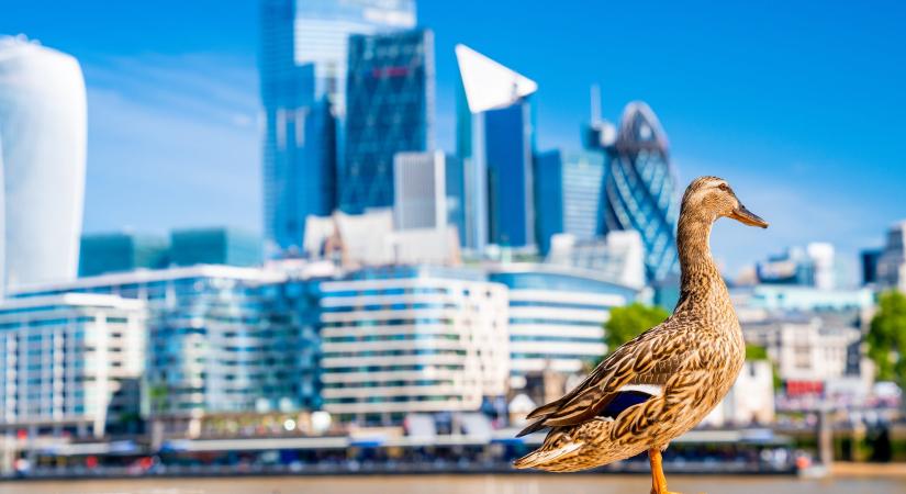 ADAC: erre kell figyelni az utazóknak a közel-keleti helyzet kapcsán