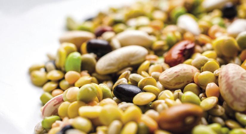 Komoly üzleti lehetőséggel kecsegtet a brit növényi alapú ágazat 2026-ban