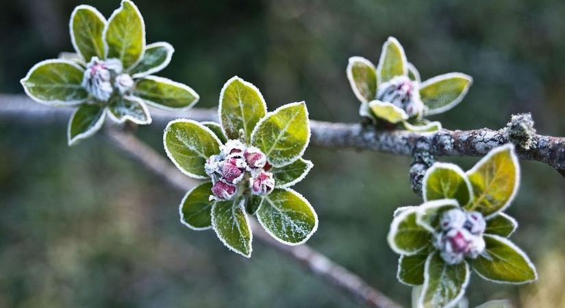 Időjárási hullámvasút: 13 fokról zuhanunk a fagypont alá