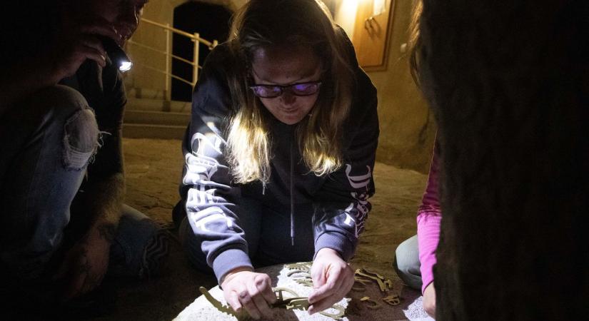 Zseblámpával a sötétben: Őslényekre és titkokra vadászhatunk a tatai éjszakában