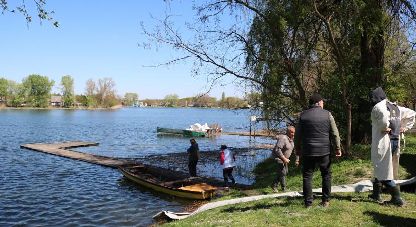 Rekordot döntött a tavaszi haltelepítés a Szelidi-tavon  fotók