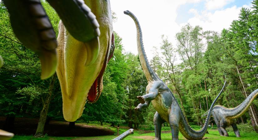 A történelem legelső repülőgép-eltérítője fedezte fel az első magyar dinoszauruszokat
