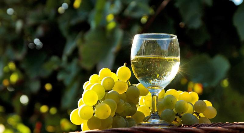 Balatoni Borok Versenye