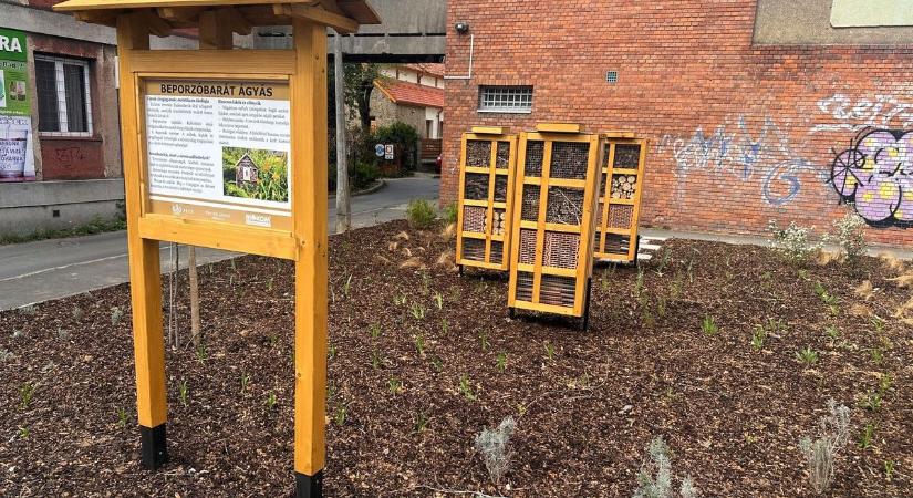 Bevetésen a graffitivadászok – virágba borult a belváros, eltűnnek a graffitik