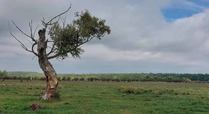 Volt olyan jászkunsági település, ahol egyetlen csepp eső sem hullott márciusban