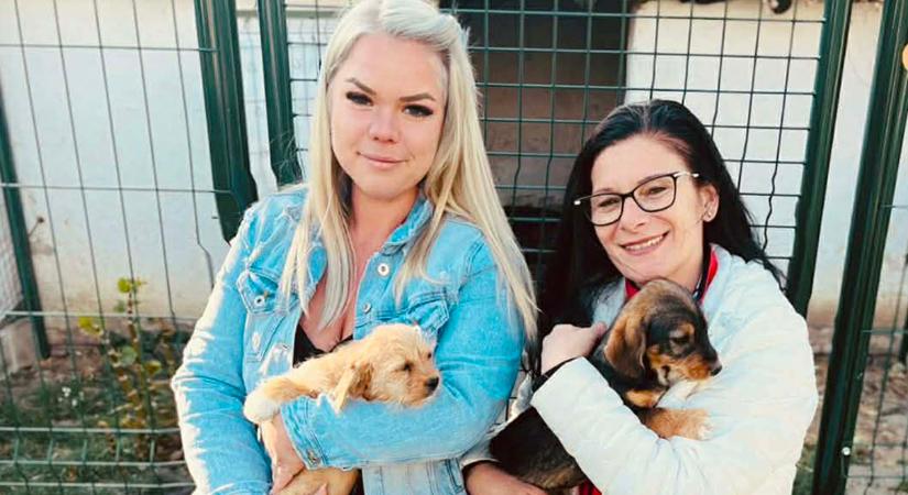 Kismancsoknak gyűjtöttek a Békés vármegyei rendőrök