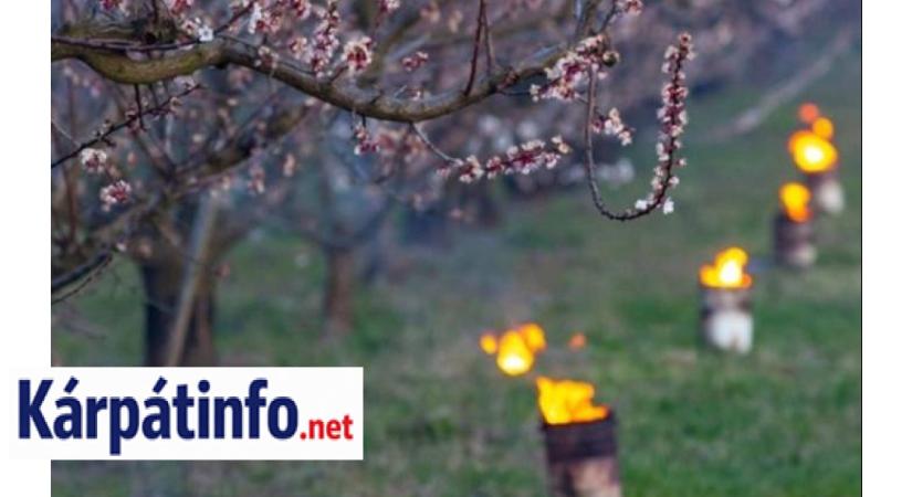 Jönnek a fagyos hajnalok - Sokféleképpen készülnek a gazdák