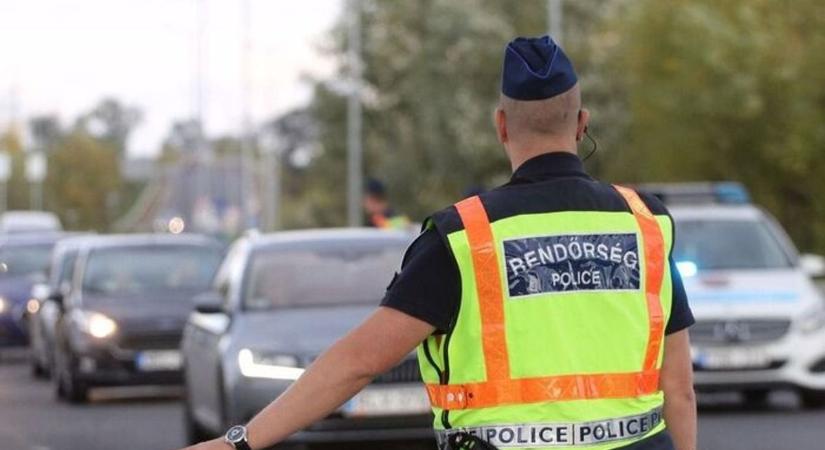 Vadgázolás Pécsen: elütöttek egy őzet a Zsolnay Vilmos úton