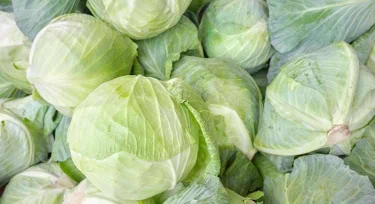 Padlón a káposzta!