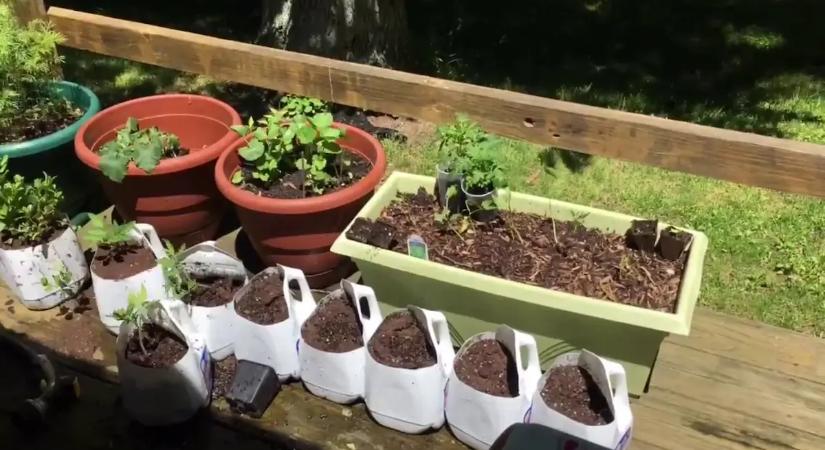 Azonnal vedd ki a tejesdobozt a kukából! Ez az a filléres eszköz, ami megmenti a kertedet a tavaszi fagyoktól