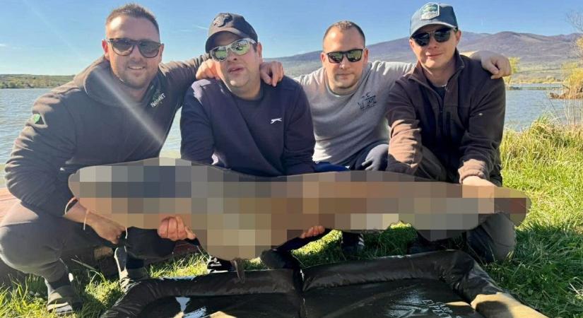 Akkora pöttyös őslényt emeltek ki a hevesi tóból, hogy könyörögve kéri vissza a kréta időszak – fotó