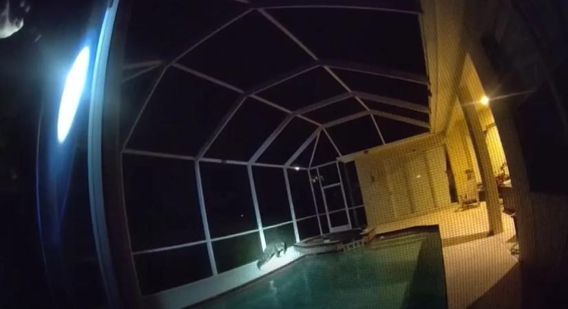 Sokkoló, amit a családi ház medencéjében találtak: azonnal rendőrt hívtak – videó