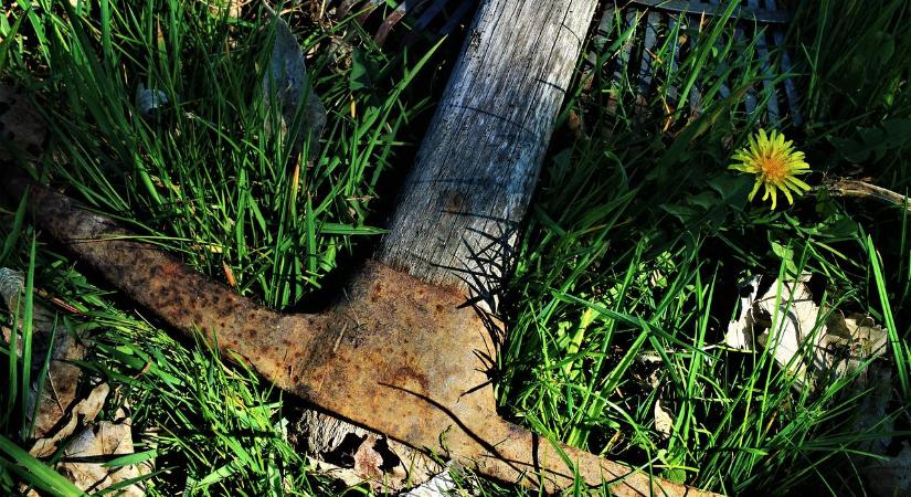 Debrecenben dőlt el a csákánynyeles gyilkos sorsa