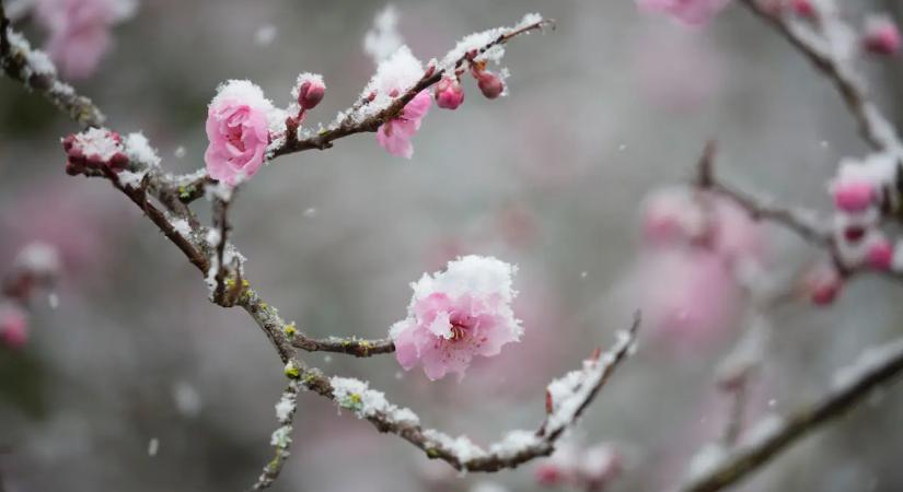Kritikus éjszakák előtt állunk: Károkozó fagy csaphat le az országra pénteken és szombaton