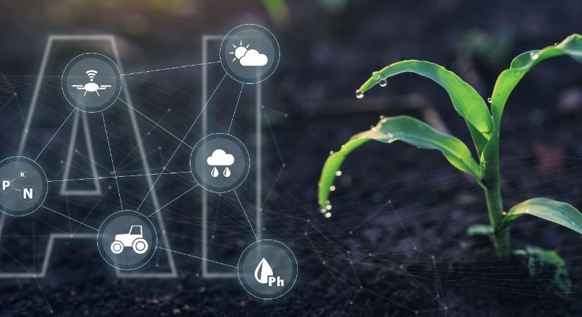 Az okos gazdaságok kora – mesterséges intelligencia a mezőgazdaságban